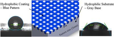 Condensation on Surfaces With Biphilic Topography: Experiment and Modeling